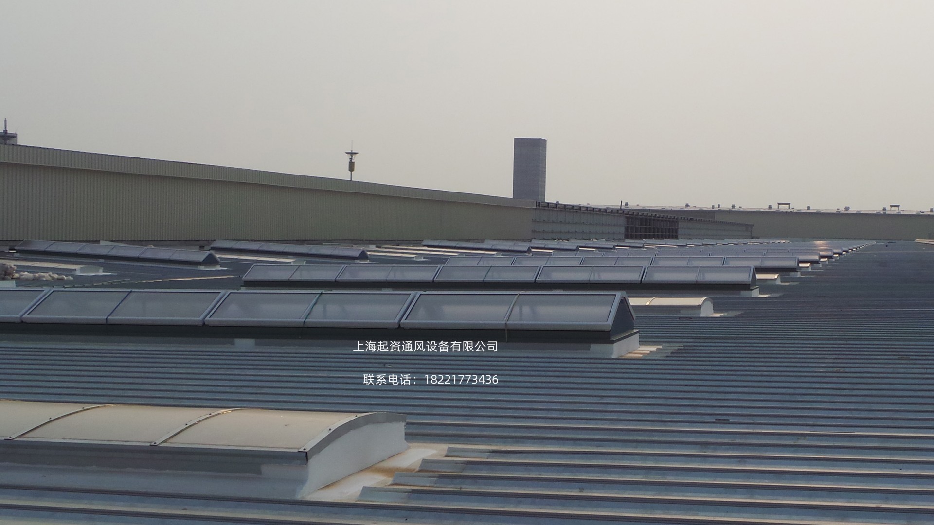 澳门金龙图库