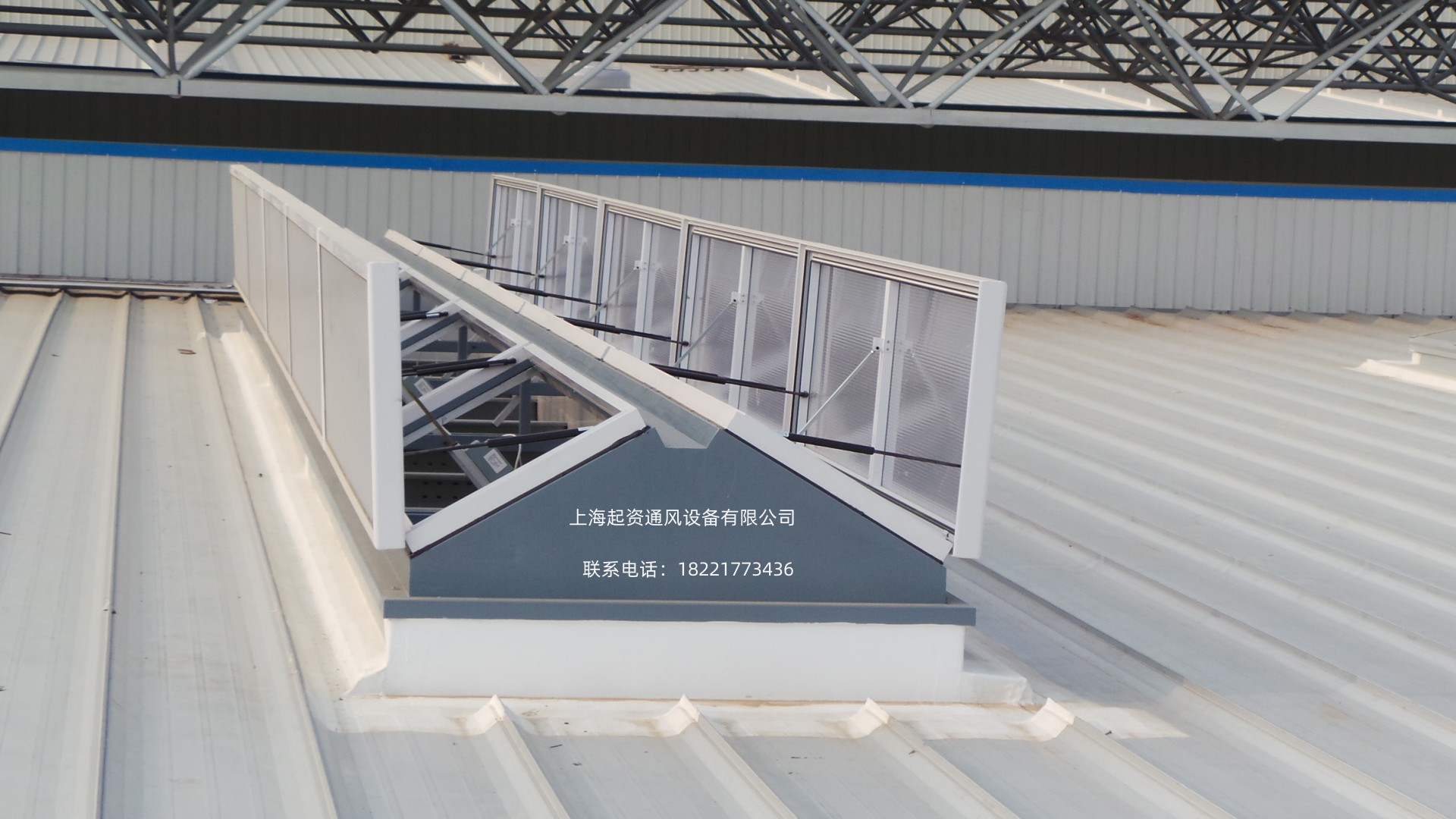 澳门金龙图库