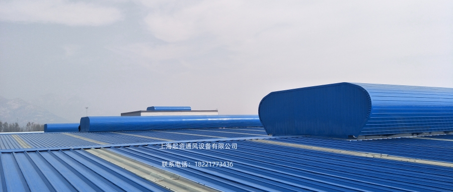 澳门金龙图库