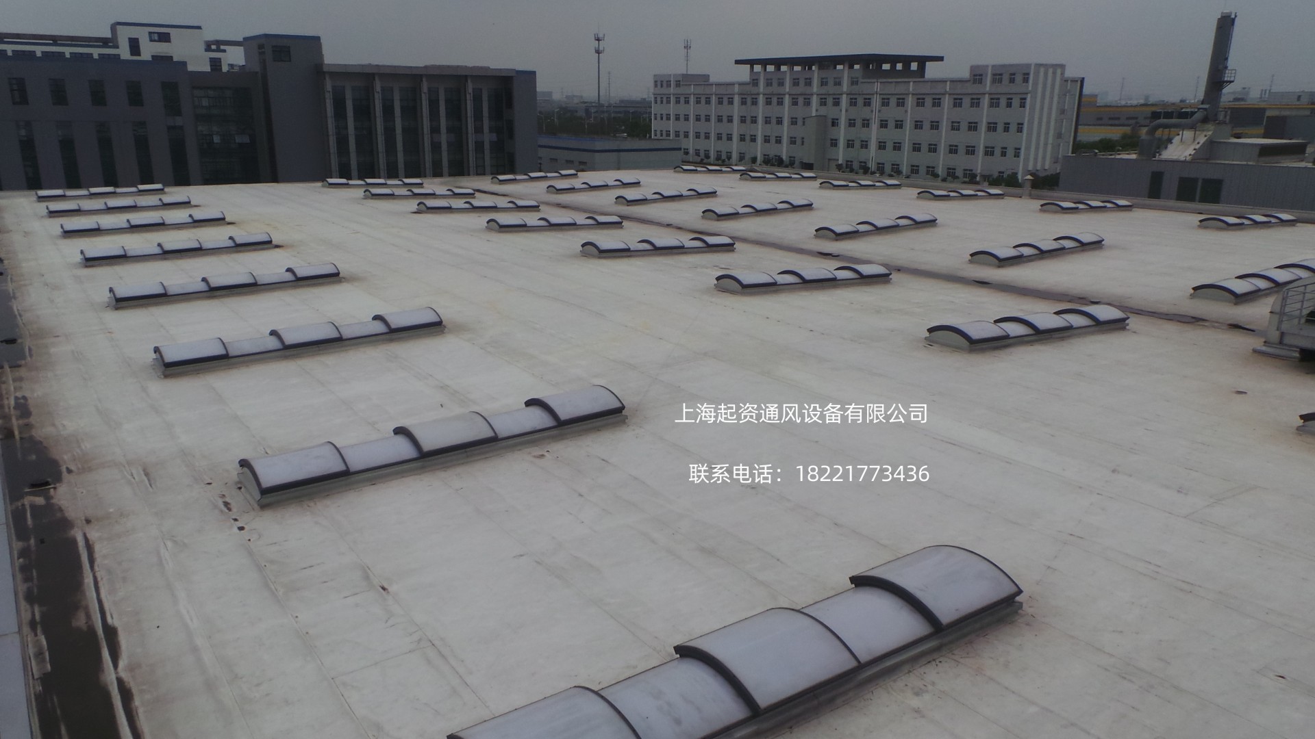 澳门金龙图库